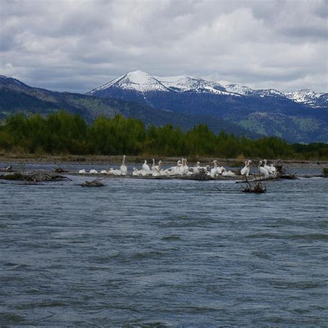 TETON SCENIC FLOAT TOURS (2026) All You Need to Know BEFORE You Go ...