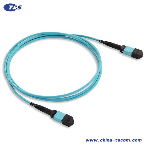 RoHS Compliant, 1m (3FT) MTP-24 (Female) to MTP-24 (Female) Om3 ...