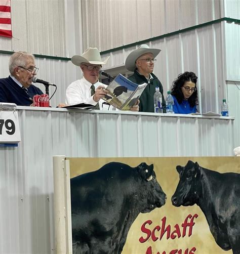 Schaff Angus Valley 121st Production Sale | TSLN.com
