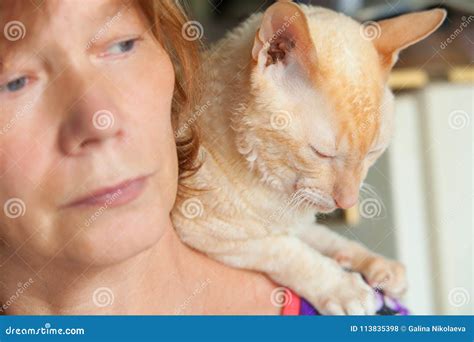 Beautiful Cat with Curly Hair Stock Photo - Image of caring, look ...