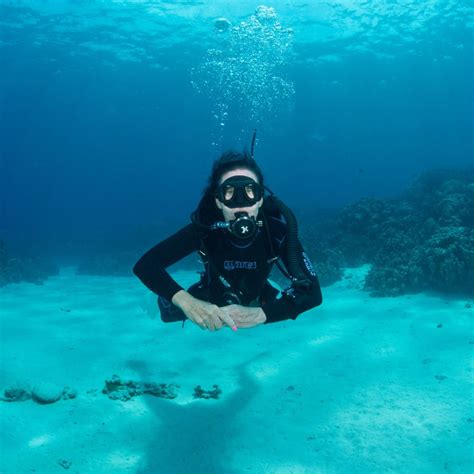 Dive Gear Express LLC (Official) (@divegearexpress) • Instagram photos ...