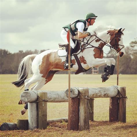 Pinterest ercequestrian | Horses, Eventing horses, Cross country jumps