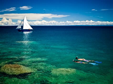 Picture Viewer Error Occurred 的图像结果