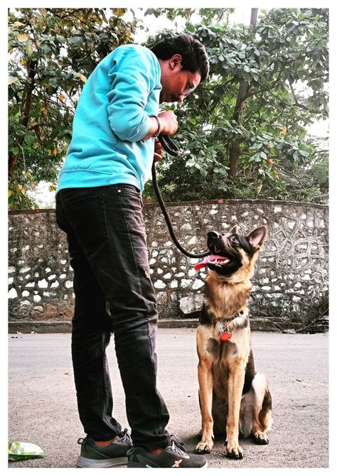 Viva k9 training - Tale of Tails