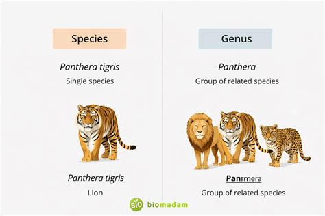 Species vs Genus: Key Differences, Definitions, and Examples