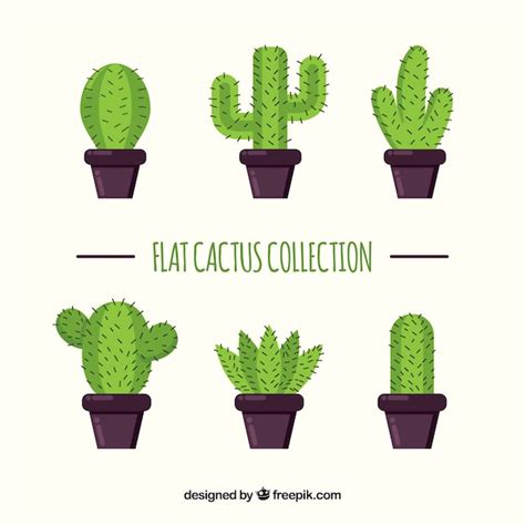 Catus Kollektion mit flachem Design | Kostenlose Vektor