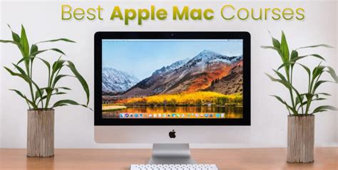 Apple Computer Classes for Beginners 的图像结果