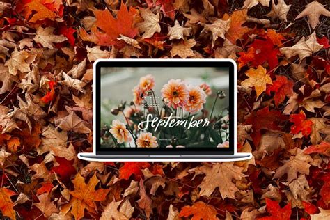 Wallpapers Backgrounds Background 3680x2160