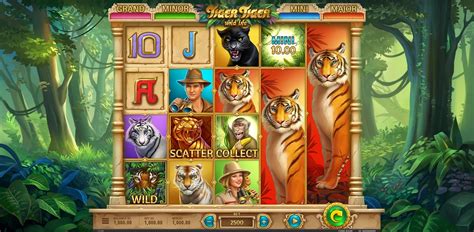 Tiger Tiger Wild Life | PaintPoolStudio