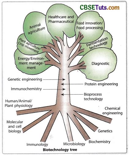 Example of a Biotechnology Process 的图像结果