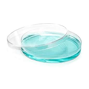 Labxport Borosilicate Glass Petri Dish Bacterial Culture Dishes for ...