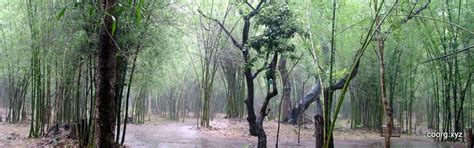 Thattekad Bird Sanctuary: Entry Fees, Stay, Timings, Weather