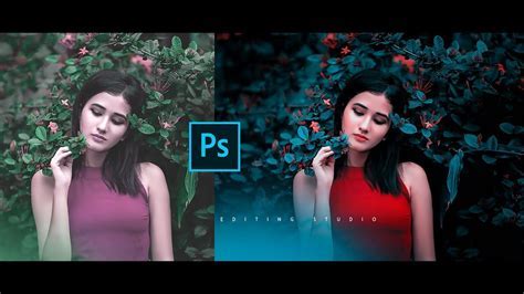 Image result for Paint Shop Pro Color Correction Tutorial