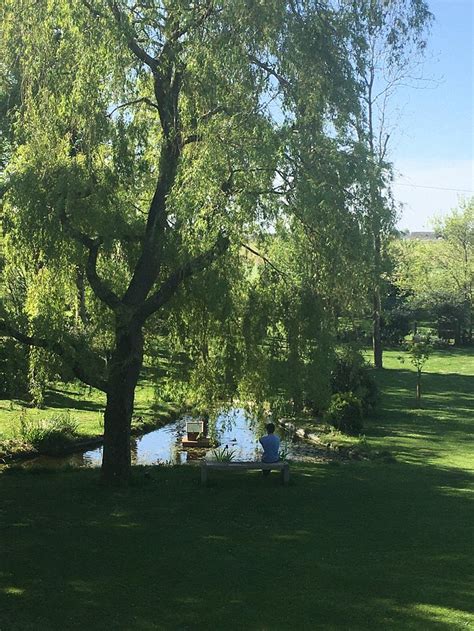 LE COIN DES AROMATES (Octeville-sur-Mer) - B&B Reviews & Photos ...