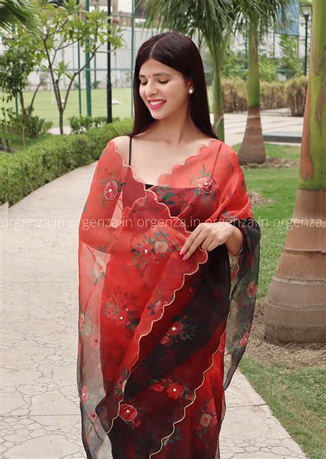 Red And Black Soft Organza Multi Colour With Readymade Blouse - Orgenza ...