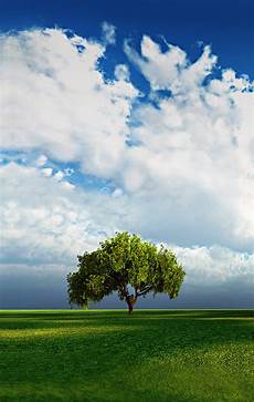Vertical Backgrounds by Free Large Background Desktop Vertical Wallpaper For Vertical Backgrounds