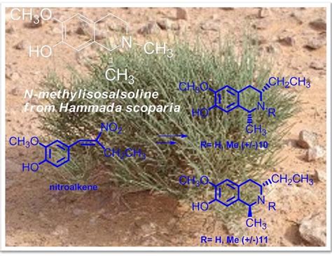 Synthesis of C3/C1-Substituted Tetrahydroisoquinolines