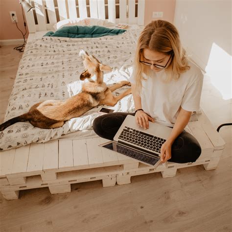 Image result for How Many Lessons