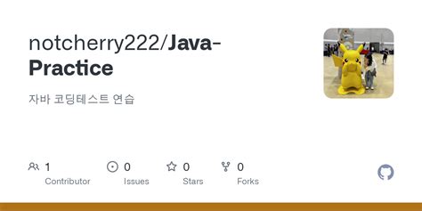 Image result for Java Practice in HTML
