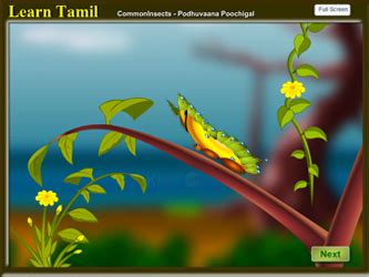 Learn Tamil