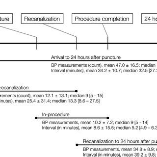 Write a Python Program to Check BP 的图像结果