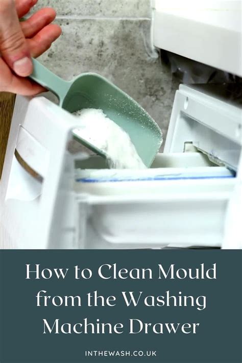 Image result for How to Clean Washing Machine Drawer Mould