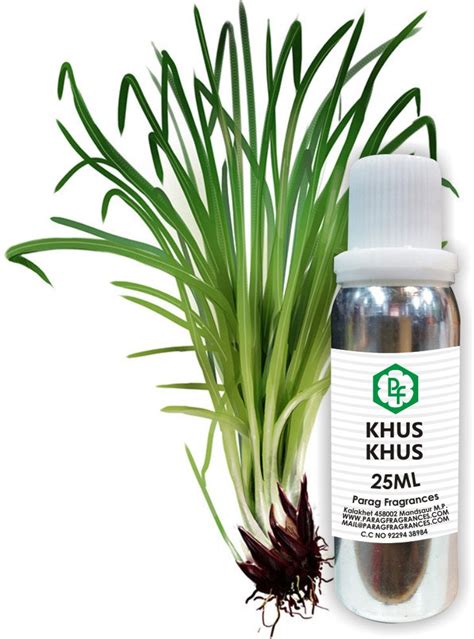 Buy 25 ML Attars Online – Parag Fragrances official