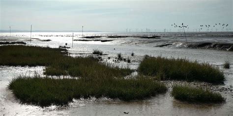 WATERLANDS: CREATIVE WRITING WORKSHOP, 19 Mann Island,Liverpool,L3 1BP ...