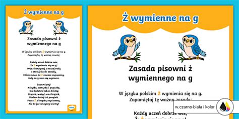 Sówka Ortografka | Ż wymienne na g | Plakat (teacher made)