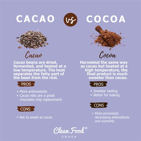 Cacao Powder Vs Cocoa Powder Rio Luxury Vegan Hot Chocolate Powder
