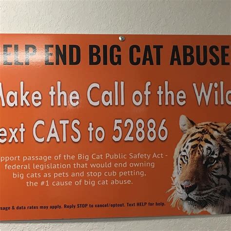 BIG CAT RESCUE (2026) All You Need to Know BEFORE You Go (with Photos ...