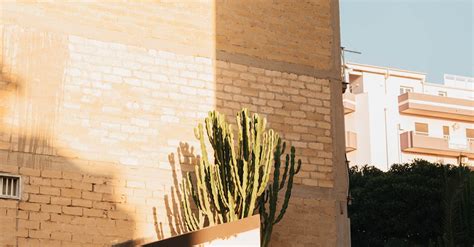 People Standing Outside 的图像结果