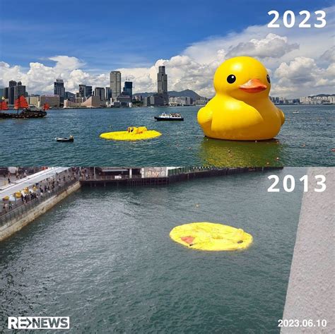 Image result for Deflating Inflatable Duck