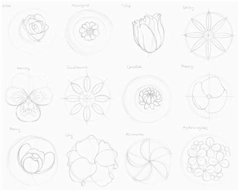 How To Draw Flowers On Chart Paper
