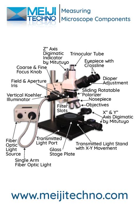Microscope Terminology 的图像结果