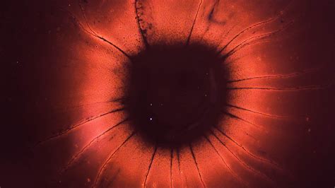 Image result for Linux Kernel Code Background