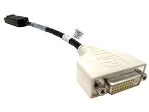 BizLink Dell 0F388M DisplayPort to DVI Video adapter - Buy BizLink Dell ...