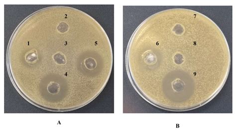 Identification of a Novel Biosurfactant with Antimicrobial Activity ...