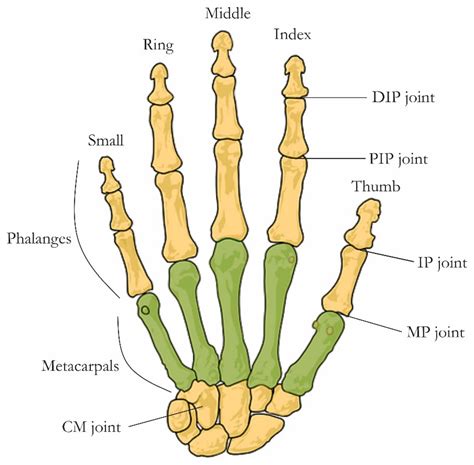 On the Optimal Synthesis of a Finger Rehabilitation Slider-Crank-Based ...
