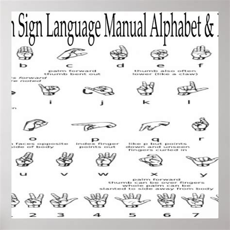 Image result for American Sign Language Alphabet Numbers