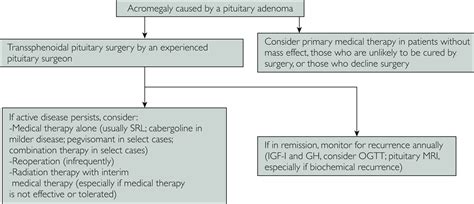 Diagnosis and Treatment of Acromegaly: An Update - Mayo Clinic Proceedings