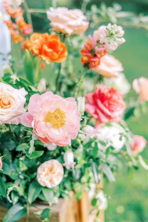 Explore These Magical Garden Wedding Venues in Charlotte, NC