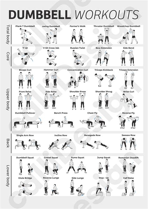 Image result for Exercise Types
