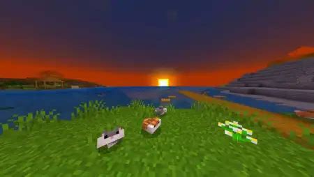 Image result for Adventures in Time Mod Minecraft