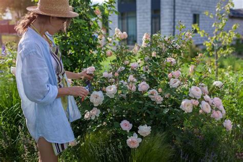 Key plants to prune in September before autumn rolls in