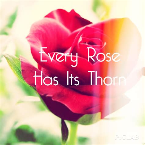 "Every rose has its thorn, just like every night has its dawn" - Poison ...