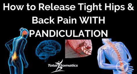 Image result for Pandiculation Exercises for Lower Back