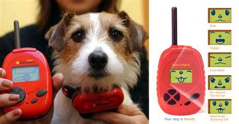 Dog Translator Machine 的图像结果