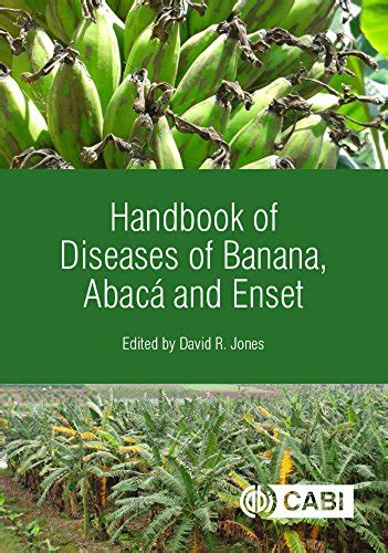 Handbook of Diseases of Banana, Abaca and Enset eBook : Jones, D.R ...