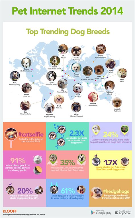 Better Than Cats Dogs Chart